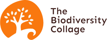 The Biodiversity Collage